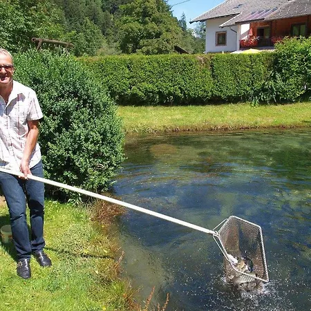 Διαμέρισμα Kirchbruecke Mieders